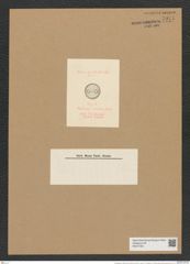 Pseudauliscus notatus (Grev.) Rattr. (de-Toni-Nr.: Genus 172, Species 4411) Zeichnungen Sammlung Grunow Nr. 7971 (NHMW-BOT-W0377261)